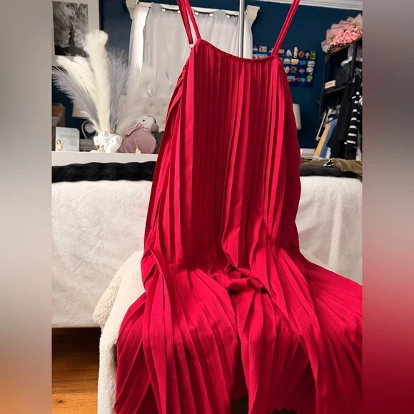 Red Pleated Dress - Picture 7 of 7